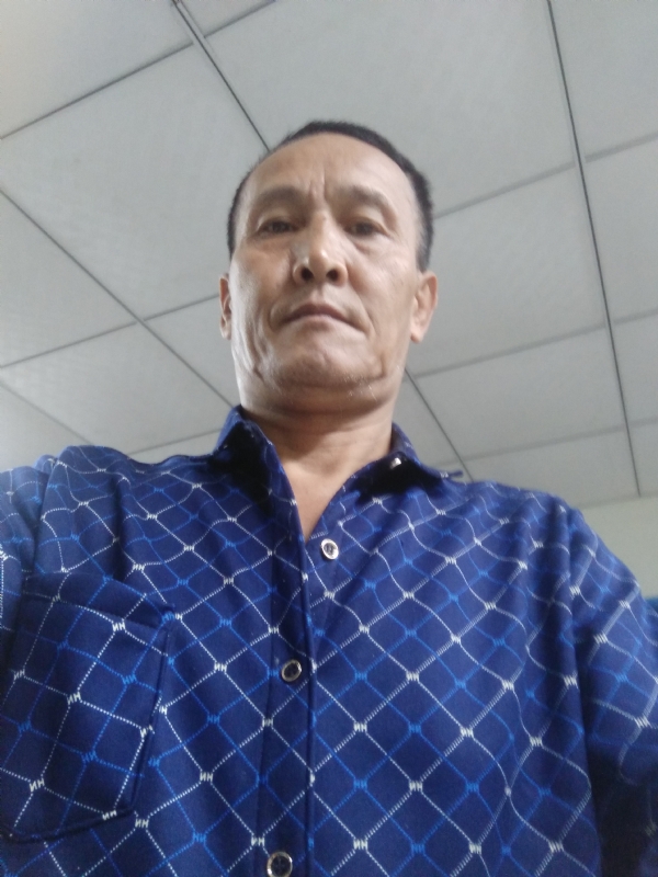 老树的第二张照片--将乐相亲网